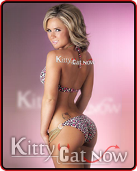 Maggie
Chicago Strippers | Chicago Exotic Dancers | Chicago Female Strippers | Meet The Kitty Ca ...