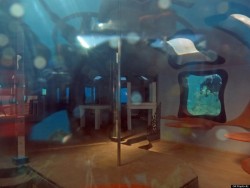 Underwater Strip Club Provides Unbelievable Glimpse Into The Past (PHOTOS)