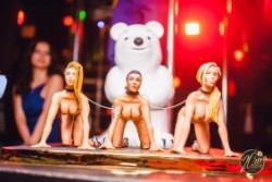 Фотографии событий в стриптиз клубе – Белый медведь