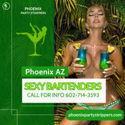 Phoenix Topless Bartender & Bikini Bartender ServicePhoenix’s sexiest Bartender AgencyCall ...